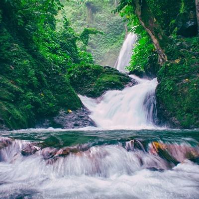 龙之法则手游变态版下载