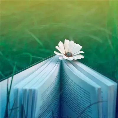 勇气斗魂手机版下载