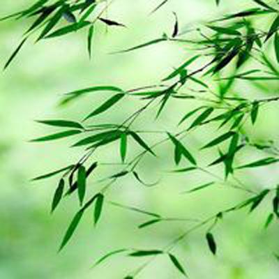 童年杂货店游戏下载