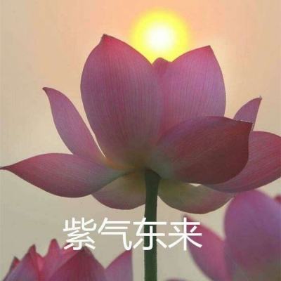 搬砖属我强游戏下载